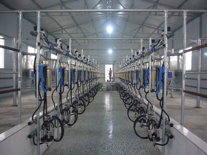 Chuangpu Animal Husbandry Technology (Suzhou) Co., Ltd. manufacturer production line