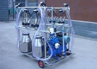 4 سطل از فولاد ضد زنگ ماشین شیر دوشی برای بز / گوسفند