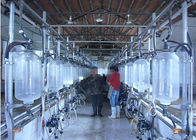 مزرعه دامداری داغ گالوانیزه شیردوشی دوششخانه با شیر گاو شیری