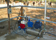 دستگاه شیردوشی قابل حمل آلومینیومی با گاو شیری / گاو شیری با سطل بهداشتی
