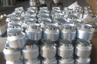 ظرفیت بالا 50L شیر از فولاد ضد زنگ می تواند درجه مواد غذایی برای حمل و نقل